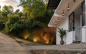 Birdwing Cottage, Munnar